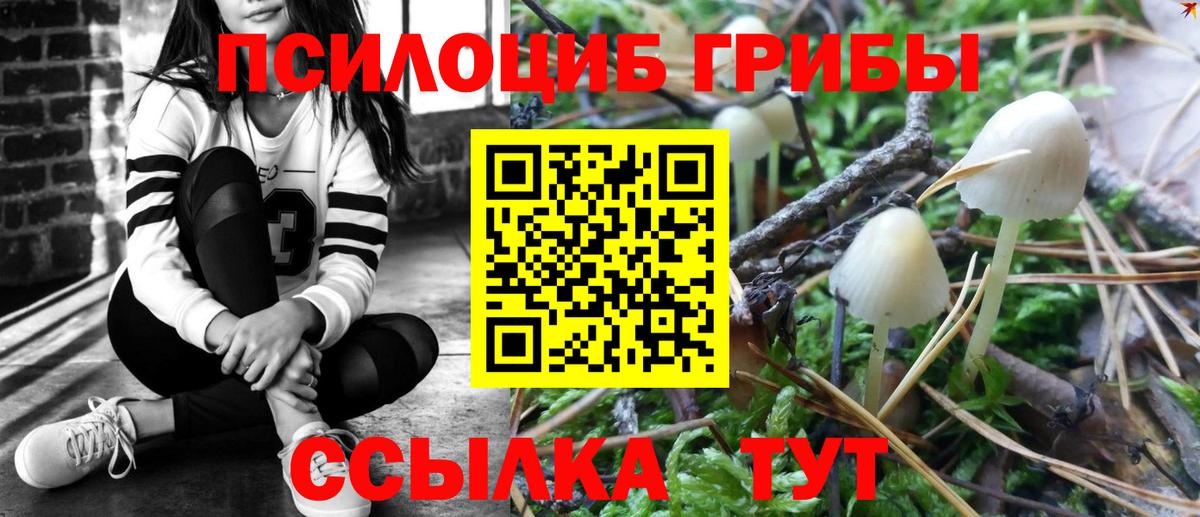 Псилоцибиновые грибы Magic Shrooms  Галлюциногенные грибы ЛСД  Северск  Вход с VPN 